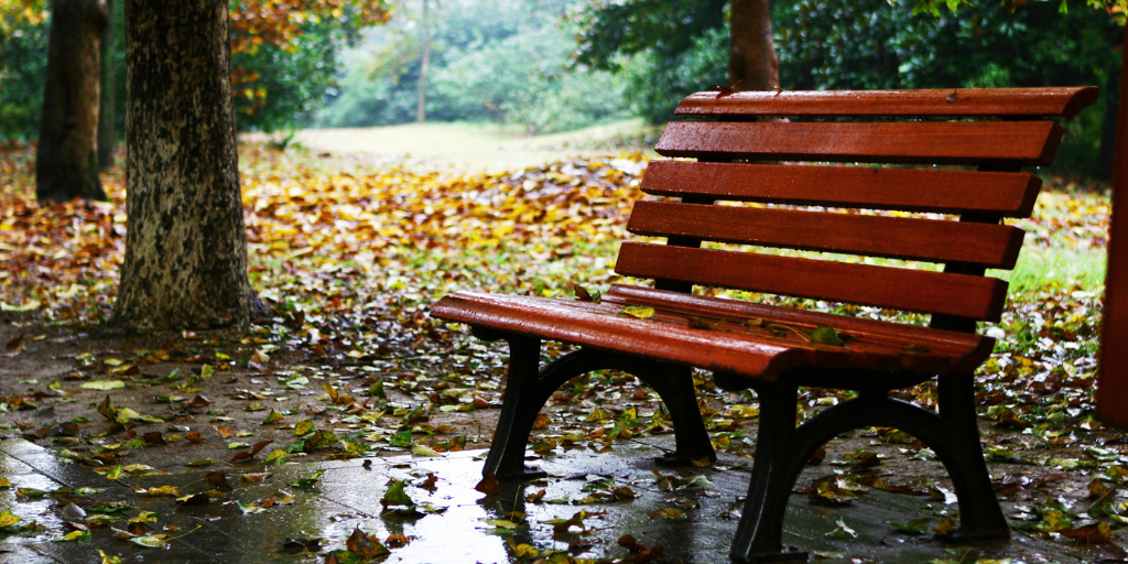 The Time I Met Jesus on a Park Bench